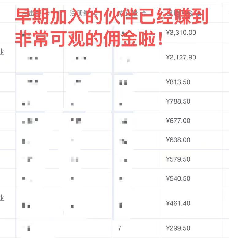 早期用户佣金收入记录